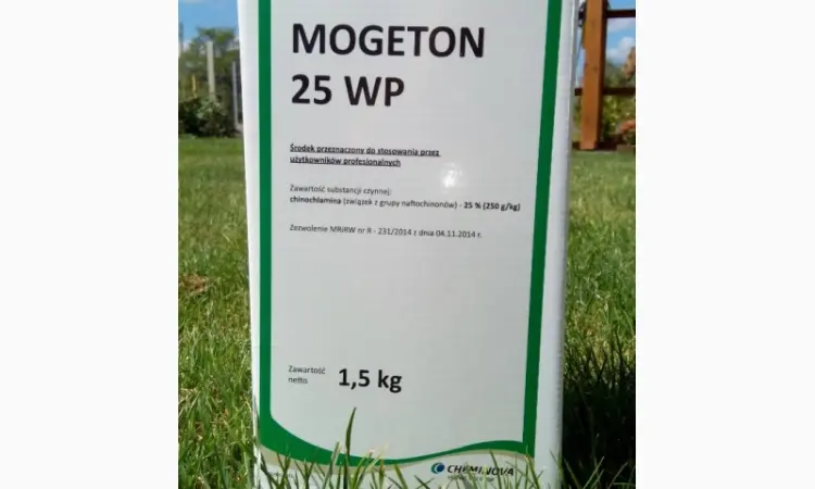 Mogeton 25WP (Могетон) 1 - фото № 1