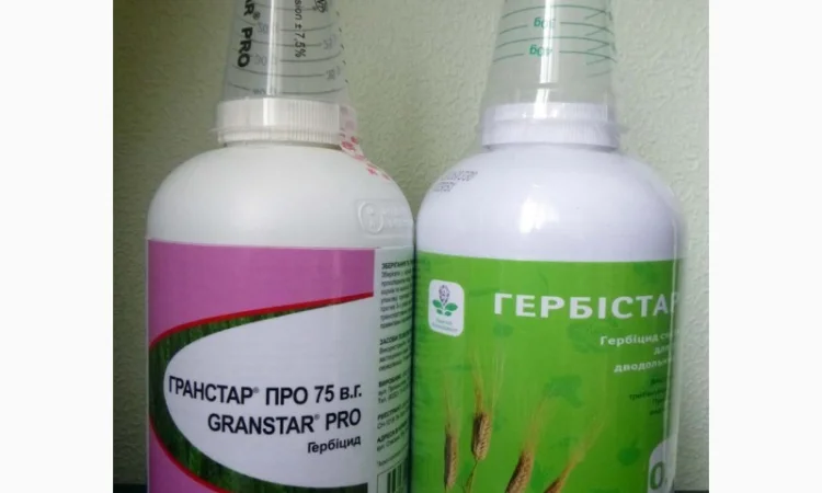 Гербистар гербицид на злаковые культуры аналог грнстара - фото № 2