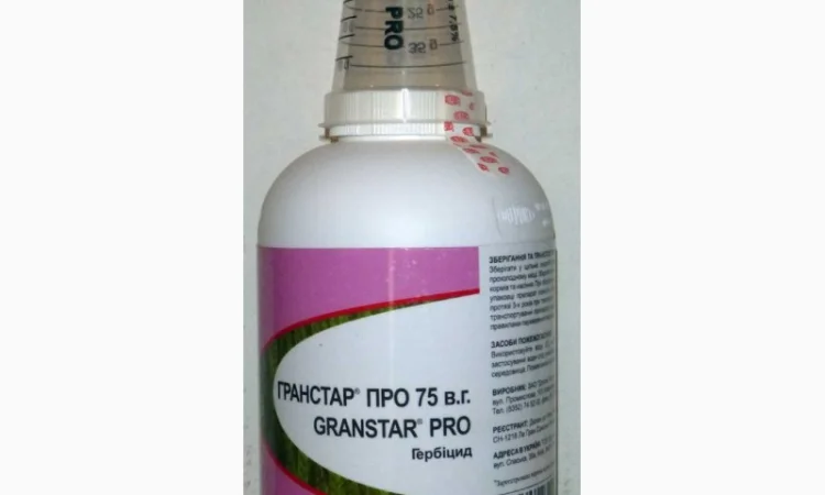 Гранстар - фото № 2