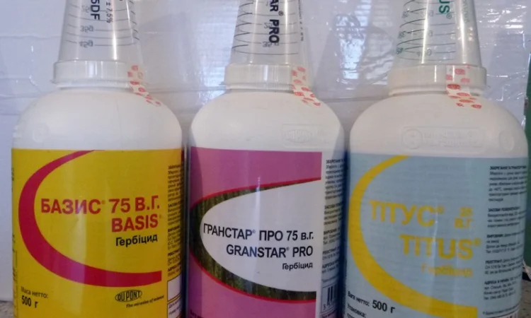 Гранстар, гербистар гербициды на злаковые - фото № 3
