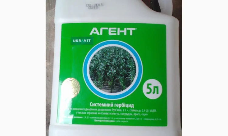 Прима(Агент) - фото № 1