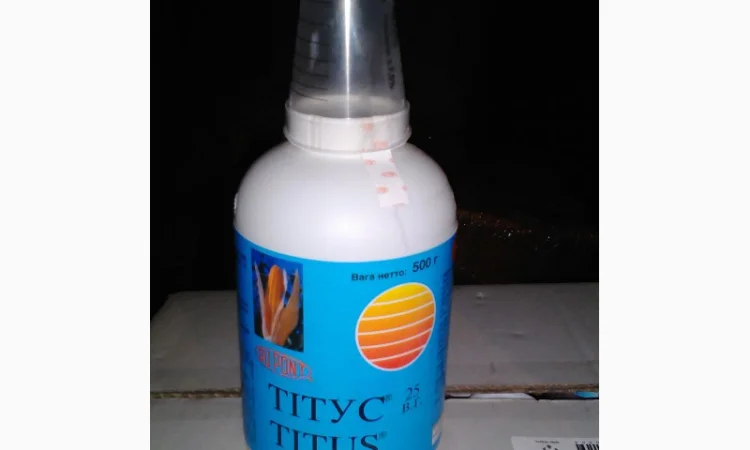 Тітус 25в.г - фото № 1