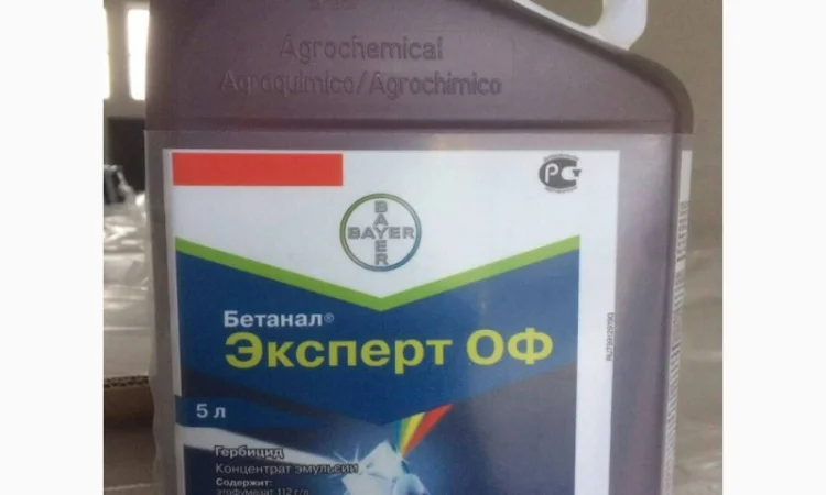 Бетанал Експерт(Оригінал) - фото № 1