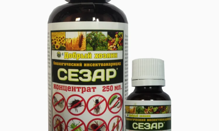Биопрепарат «Сезар» для борьбы с вредителями растений - фото № 1