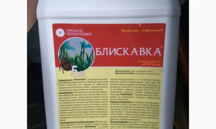 Блискавка - контактный инсектицид для борьбы с широким спектром вредителей - фото № 1