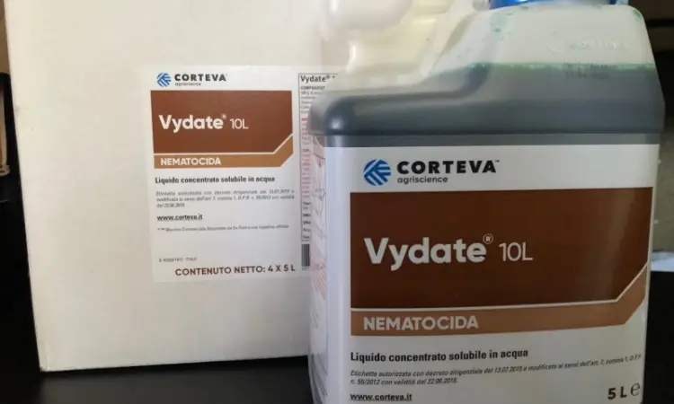 Видат (Vydate 10L) - инсектицид и нематоцид для защиты перца, арбузов, дынь, помидоров - фото № 1
