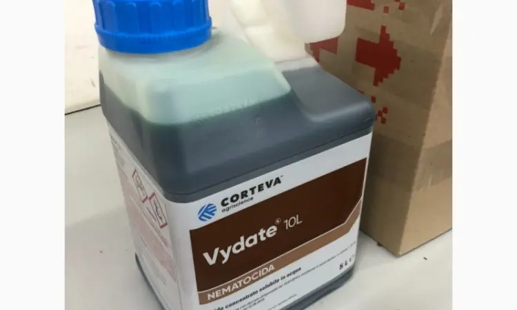 Видат (Vydate 10L) - инсектицид и нематоцид для защиты перца, арбузов, дынь, помидоров - фото № 2