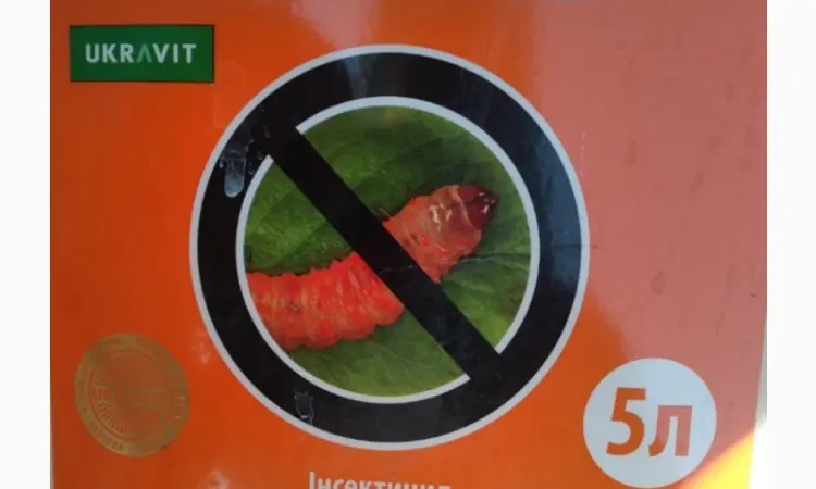 Колибри - Инновационный инсектицид против вредителей в различных культурах - фото № 1