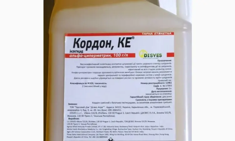 Кордон - фото № 1