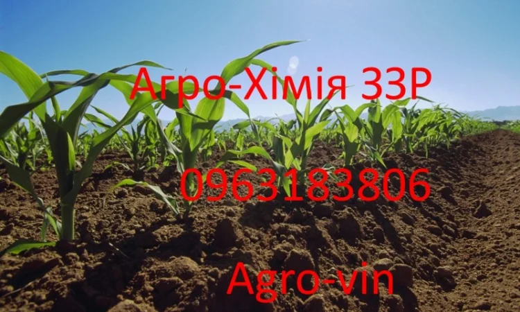 Інсектицид картопля инсектицид конфидор - фото № 1