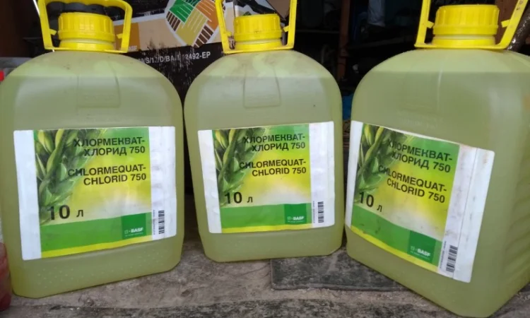 Выкуп остатки - фото № 11