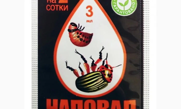 Наповал(аналог калипсо - фото № 1