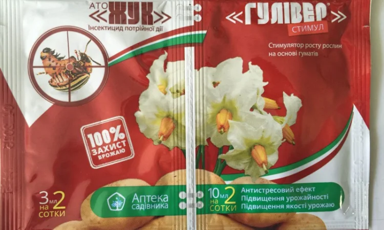 Ато Жук+Гуливер вид - фото № 1