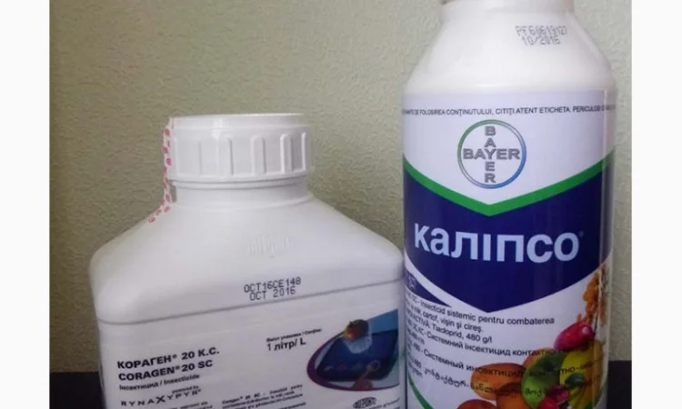 Кораген инсектицид для сада и огорода - фото № 3