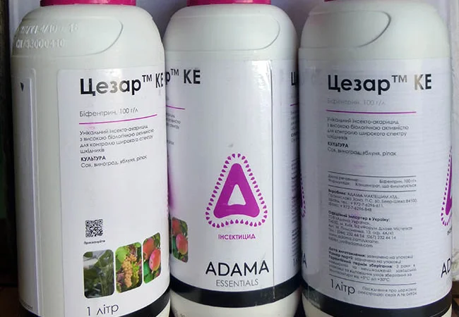 Цезарь инсектицид для сада и огорода - фото № 1