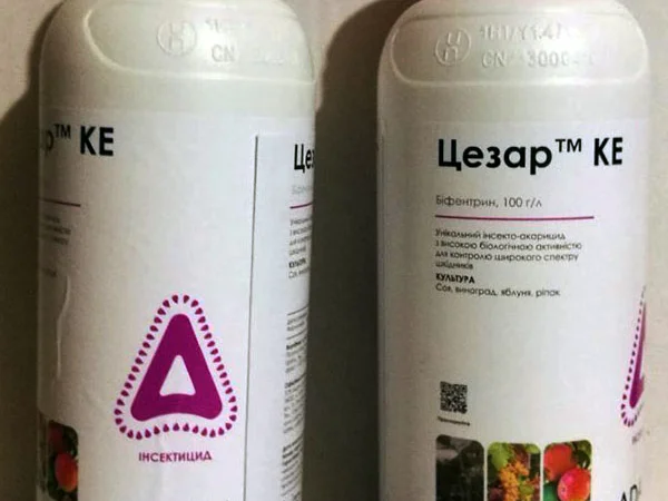 Цезарь инсектицид для сада и огорода - фото № 2