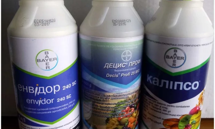 Калипсо системный инсектицид для сада и огорода - фото № 5