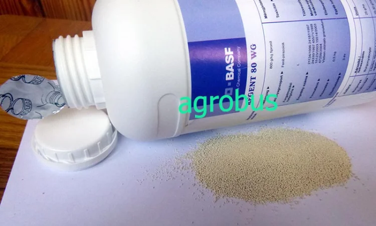 Регент инсектицид для сада и огорода - фото № 1