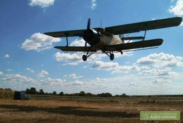 Услуги малой авиации - фото № 2