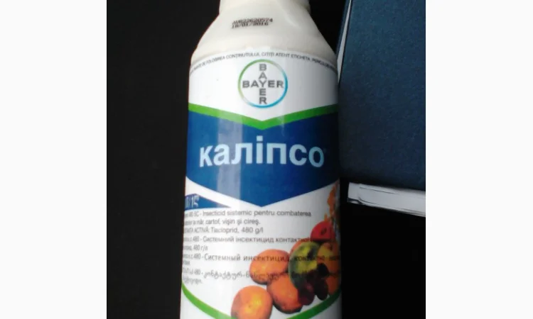 Каліпсо - фото № 1