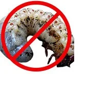 Ентоцид (Метаризин) 1кг, 5кг. Для тех, кто ценит свой труд - фото № 1