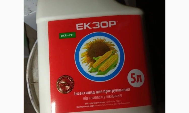 Екзор - инсектисидный протравитель семян для защиты растений от вредителей - фото № 1