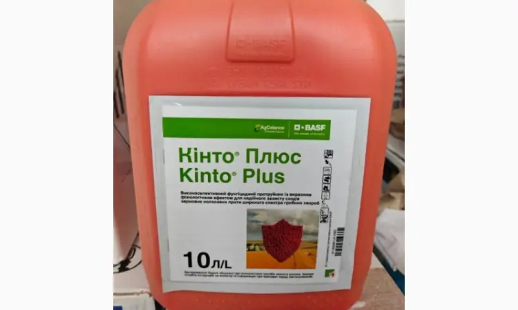 Кинто Плюс - фунгицидный протравитель для защиты всходов зерновых колосовых - фото № 1
