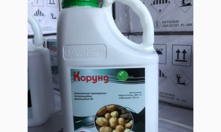 Корунд - інсектицидно-фунгіцидний протруйник насіння картоплі - фото № 1