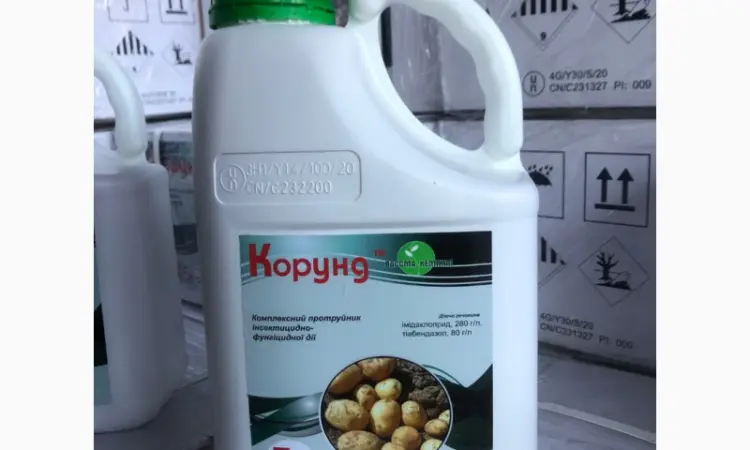 Корунд - інсектицидно-фунгіцидний протруйник насіння картоплі - фото № 1