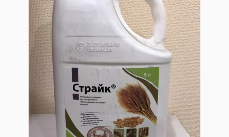 Страйк - Фунгицидный протравитель семян зерновых колосовых культур - фото № 1