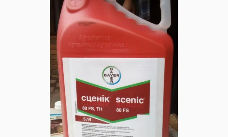 Сценік - високоефективний протруйник насіння пшениці та ячменю - фото № 1