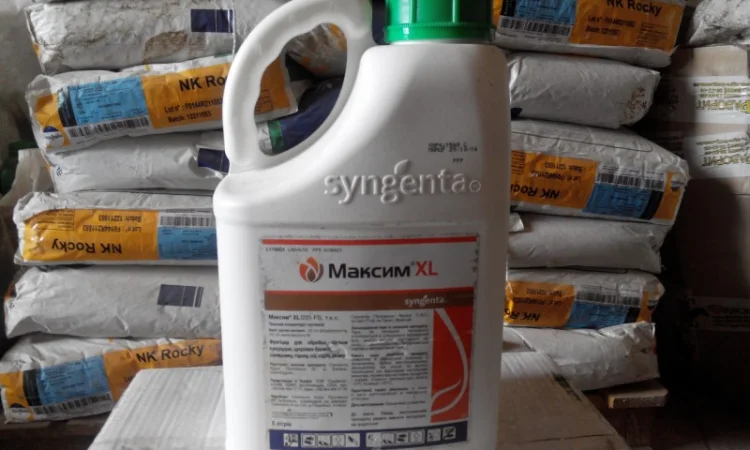 Купить протравитель Максим XL - фото № 1