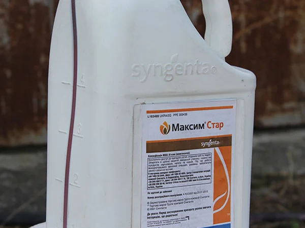 Купить протравитель Максим Стар - фото № 1