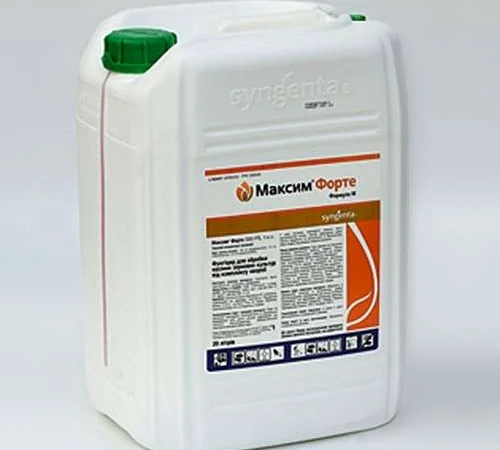 Максим форте 050 fs т.к.с. 20л цена за л - фото № 1