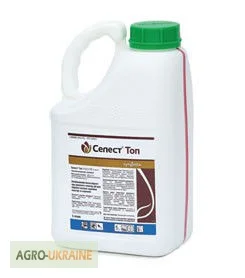 Протруювач Селест Топ - фото № 1