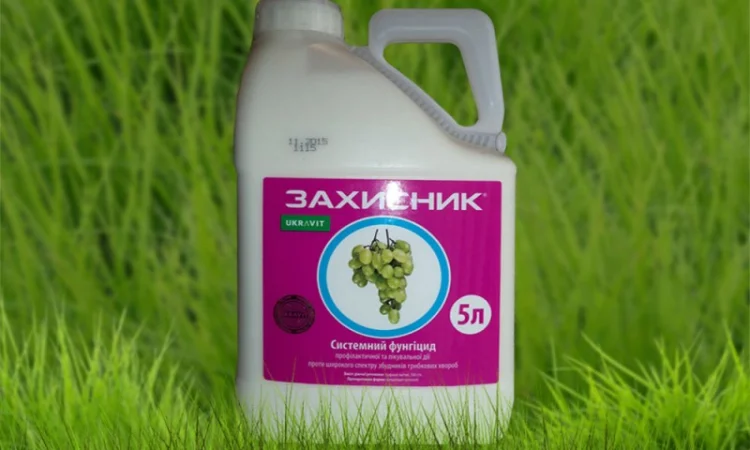 Фунгіцид Захисник 5л аналог Топсин М (д.р.Тіофанат-метил, 500 г/л) - фото № 1