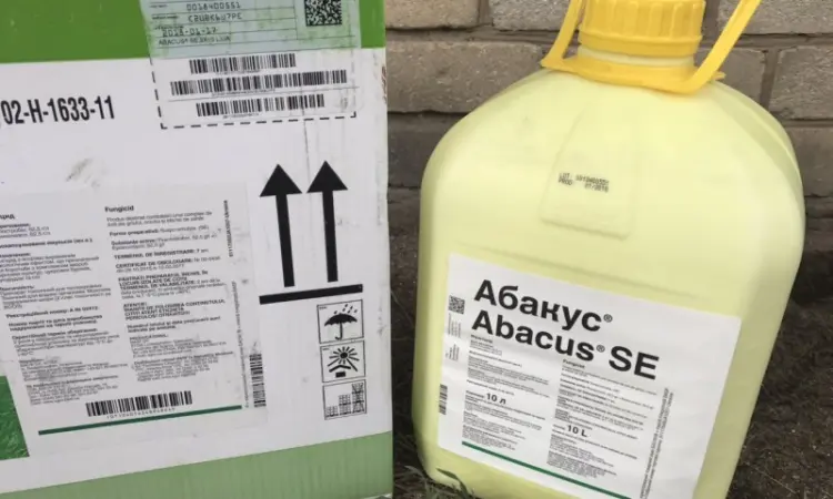 Абакус - фунгiцид проти хвороб в посівах сої, кукурудзи, зернових, цукрового буряку - фото № 3
