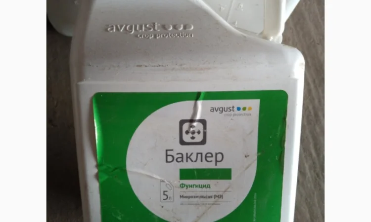 Баклєр - новий системний фунгіцид для захисту пшениці та ріпаку від комплексу хвороб - фото № 1
