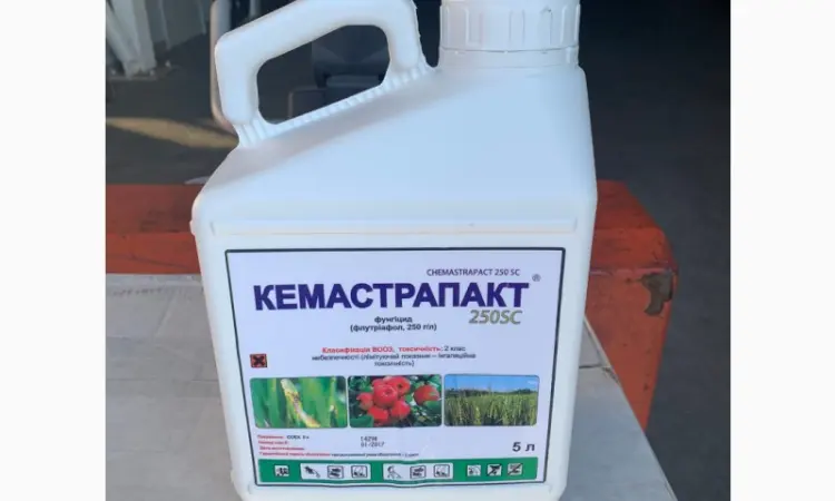 Кемастрапакт - для профілактики та лікування буряку, томатів, зернових та садових культур - фото № 2
