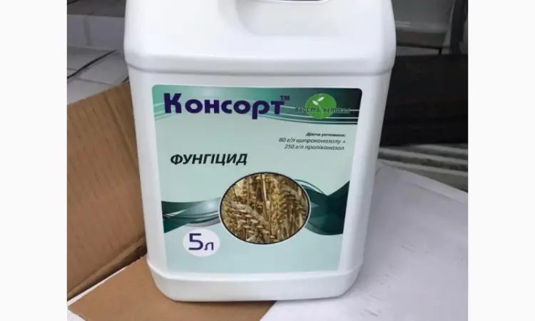 Консорт - Фунгіцид для профілактики і для лікування хвороб листя, стебел, колоса - фото № 1