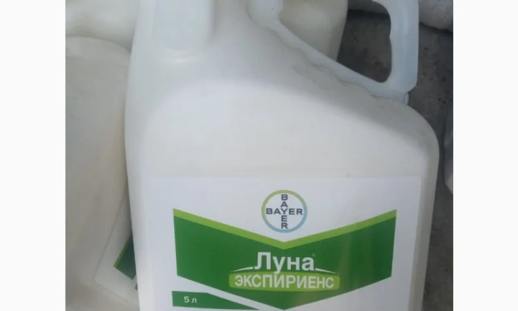 Луна Експіріенс - захист овочевих культур та садів від комплексу хвороб - фото № 1