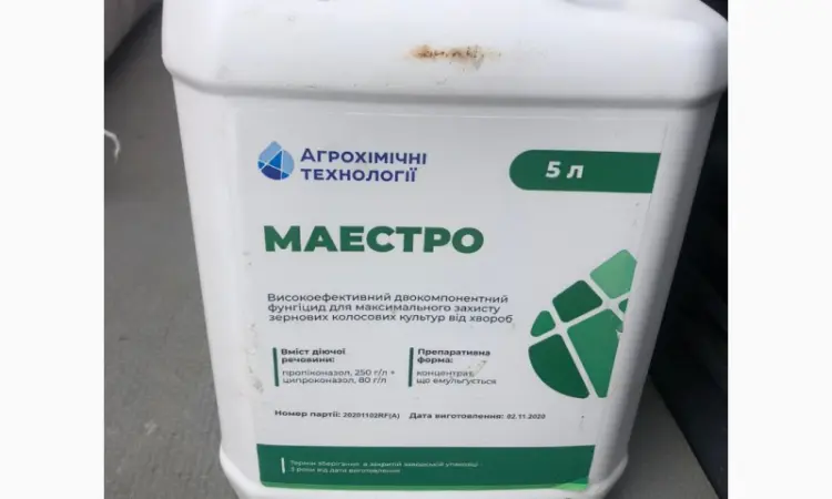 Маэстро - Системный фунгицид профилактического, лечебного и искореняющего действия - фото № 1