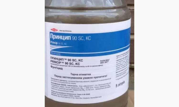 Принцип 90 SC - комбінований фунгіцид для захисту винограду та яблунь від хвороб - фото № 1