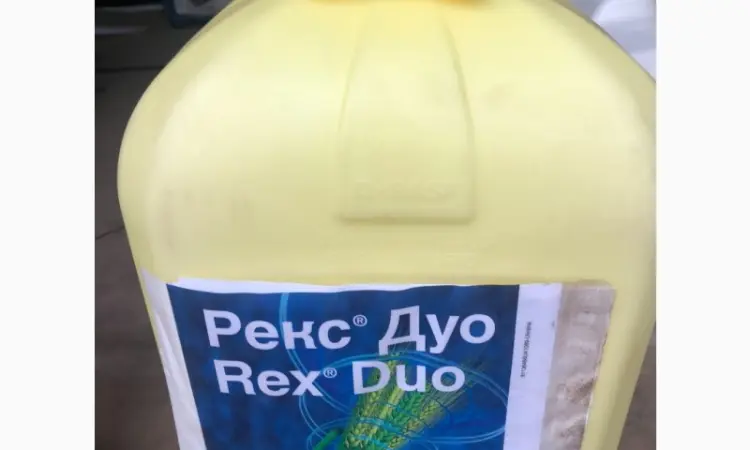Рекс Дуо - фунгіцид проти комплексу захворювань зернових та цукрового буряку - фото № 2