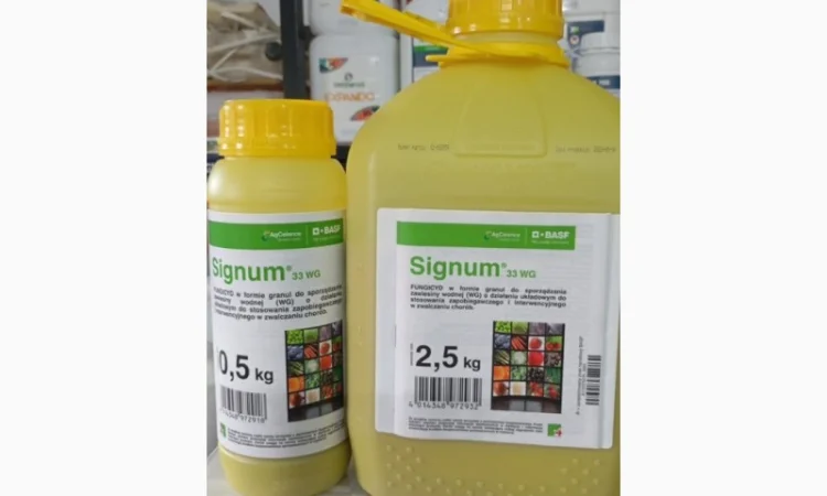 Сігнум - фунгіцид для захисту овочевих та кісточкових культур від комплексу хвороб - фото № 1