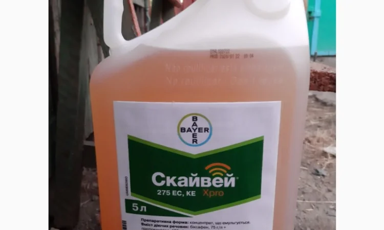 Скайвей Xpro - надійний захист пшениці і ячменю від комплексу грибкових хвороб - фото № 1