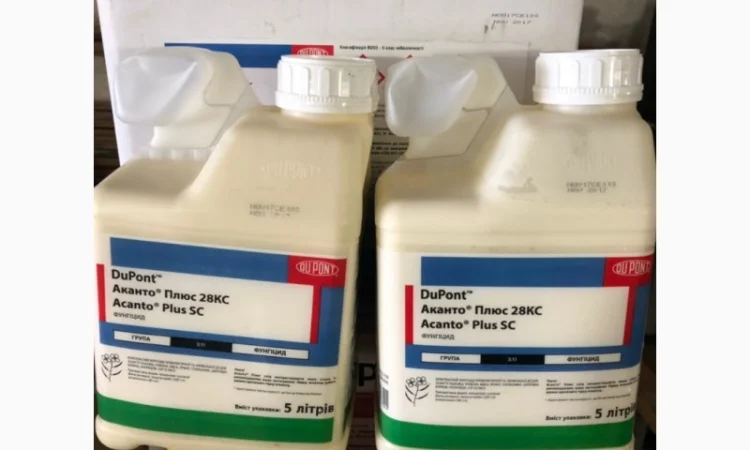 Ретенго фунгіцид до соняшника - фото № 5