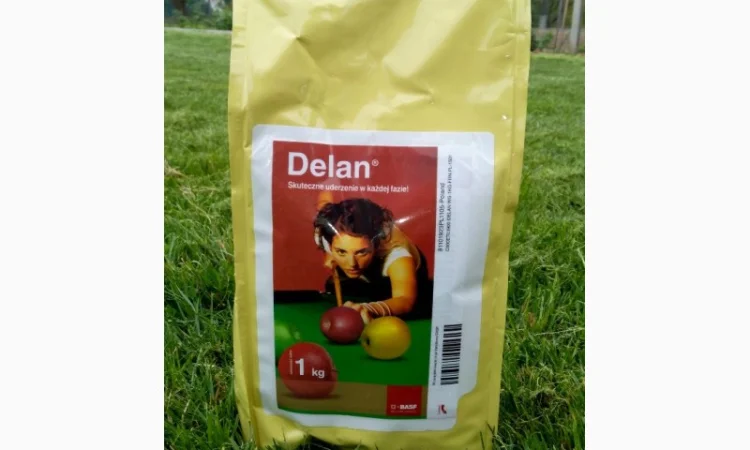 Delan 700 WG (Делан) 1кг - фунгицид универсальный контактного действия (Польша) - фото № 1