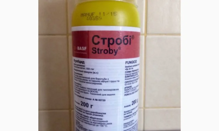 Строби фитал фунгицид для сада и огорода - фото № 2