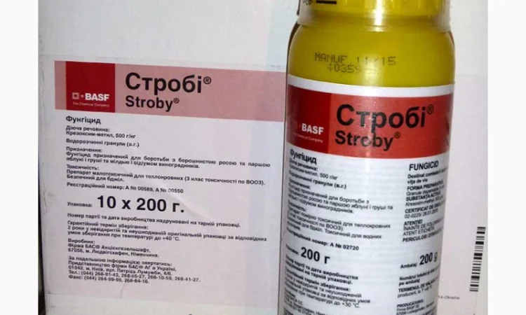 Строби фитал фунгицид для сада и огорода - фото № 3